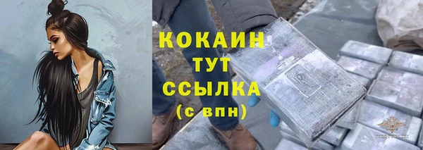 гашик Артём