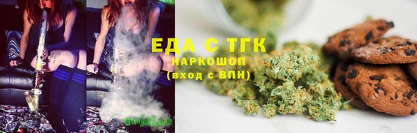 шишки Ельня