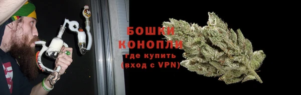 молекула духа Магадан